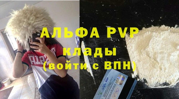 индика Белоозёрский